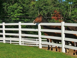 FT-H03 4- Rail Horse Fence