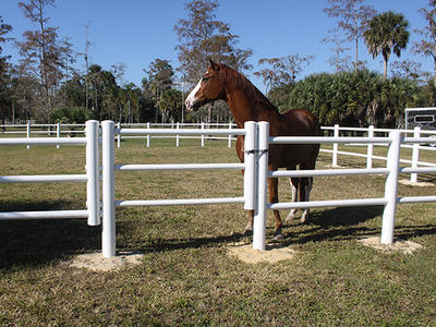 FT-H02R  3-Rail PVC Round Post and Rail Horse Fence