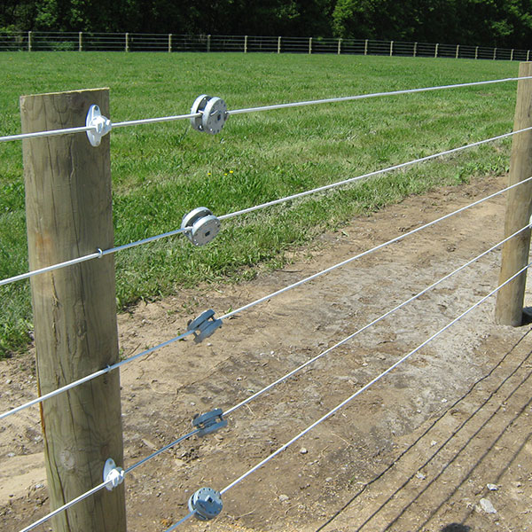 Electric Fence