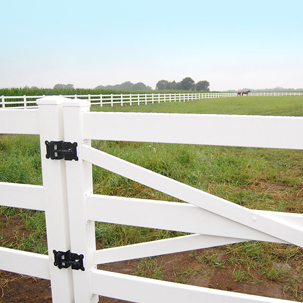 Horse Fence